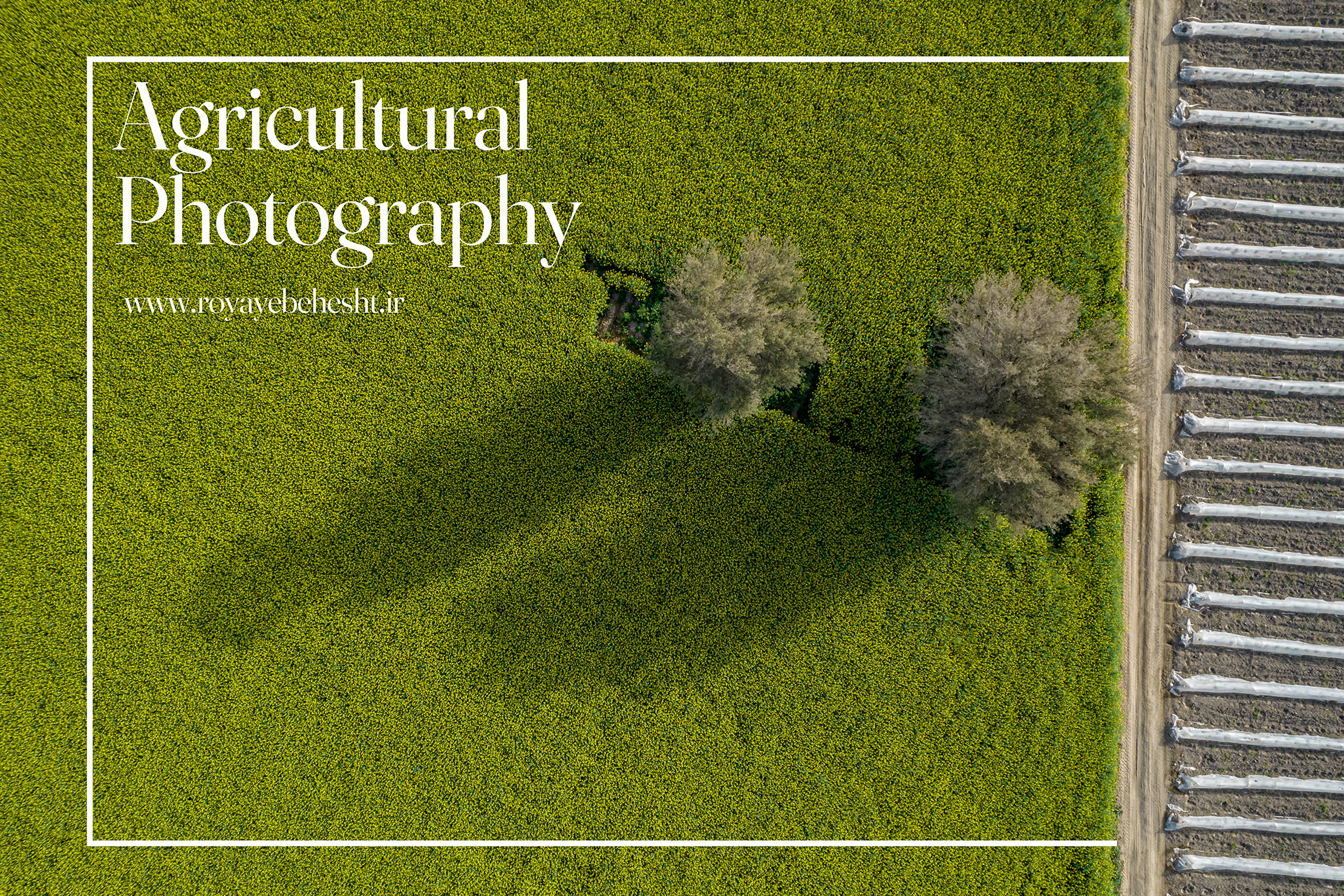 Agricultural photography